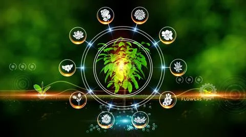 Flower Icon Concept Illustrazione stock
