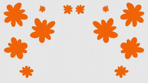 Flower icon loop Animation video transparent background with alpha channel. Video stock 236829054