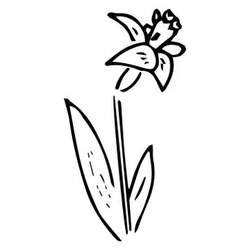 Flower icon. Vector illustration of spring daffodil. Hand drawn spring flower Stock Illustration