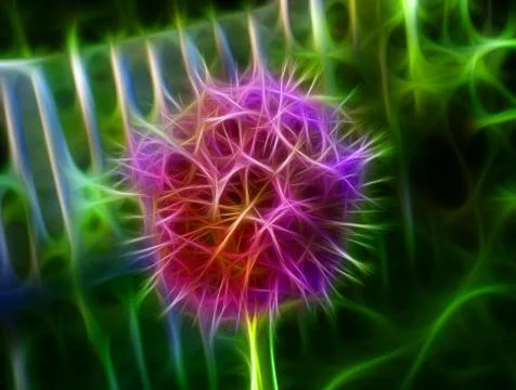 Flower Stock Illustration