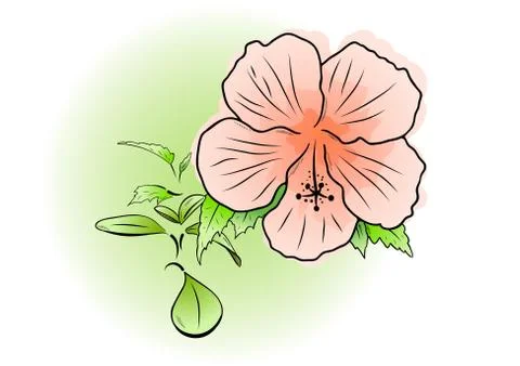 Flower Illustrazione stock