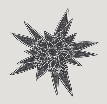 Flower Stock Illustration