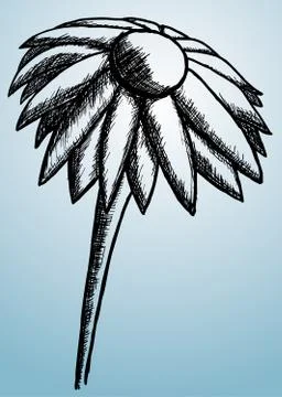 Flower Illustrazione stock