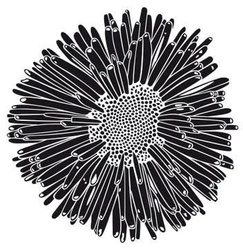 Flower Stock Illustration