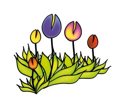 Flower Stock Illustration