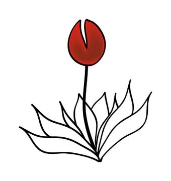 Flower Stock Illustration