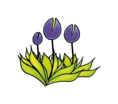 Flower Stock Illustration