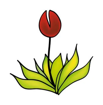 Flower Stock Illustration