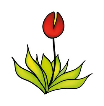 Flower Stock Illustration