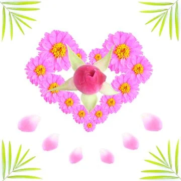 Flower Stock Illustration