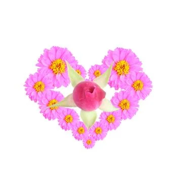 Flower Stock Illustration