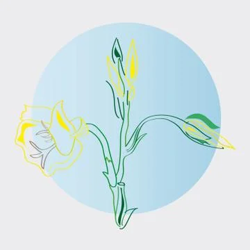 Flower Stock Illustration
