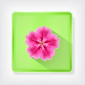 Flower Stock Illustration