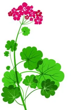 Flower Illustrazione stock