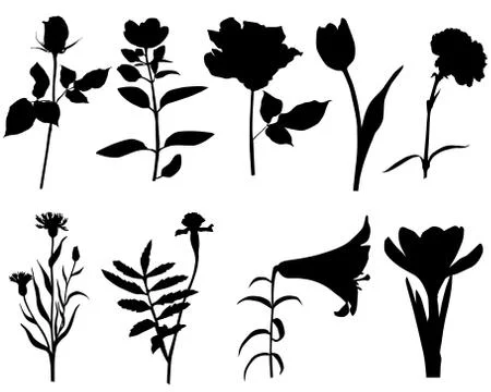 Flower Stock Illustration