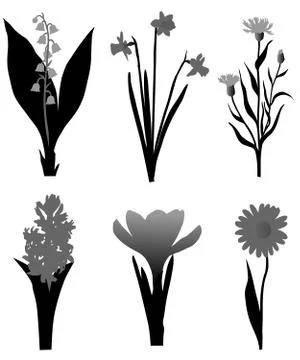 Flower Stock Illustration