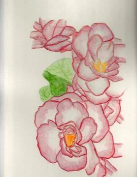 Flower Stock Illustration