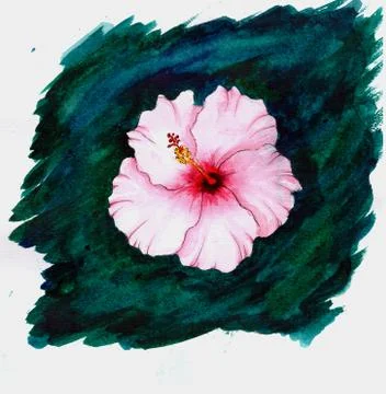Flower Illustration