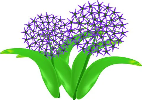 Flower Stock Illustration