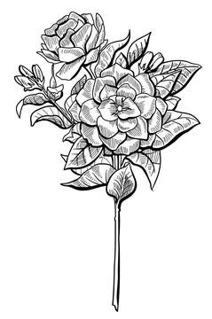 Flower 스톡 일러스트