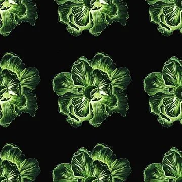 Flower Stock Illustration