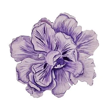 Flower Stock Illustration