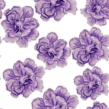 Flower Illustrazione stock