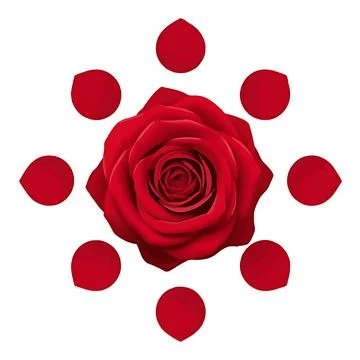 Flower Stock Illustration