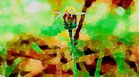 Flower illustration Illustrazione stock