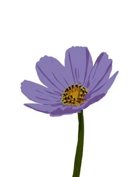 Flower illustration Stock Illustration