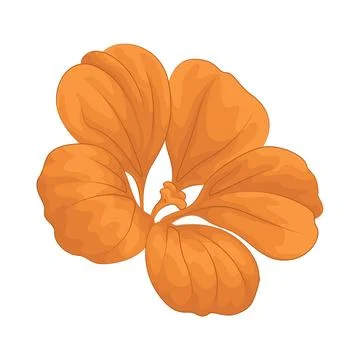 Flower Illustration Illustrazione stock