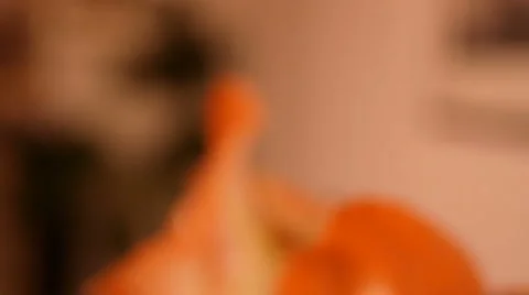 Flower indoor 库存影片 1807955