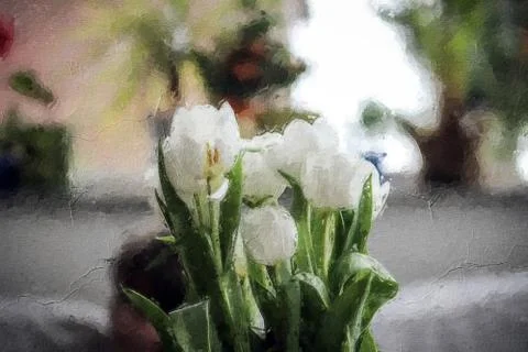 Flower inside the house Stock Illustration