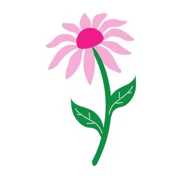 Flower isolated Stock Illustration