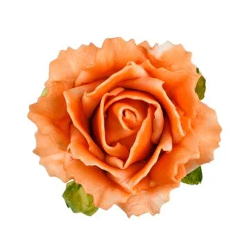 Flower isolated on white Stock Photos