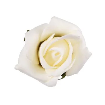 Flower isolated on white Stock Photos