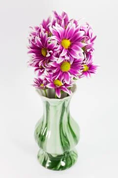 Flower isolation 库存照片