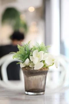 Flower in jar Stock Photos