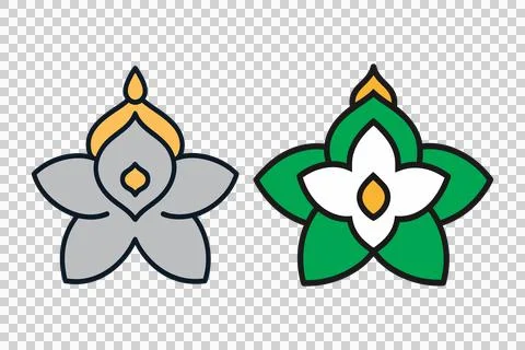 Flower Jasmine art isolated vector illustration 스톡 일러스트