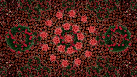 Flower Kaleidoscope. Stock-Footage 76272074