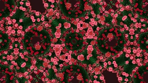 Flower Kaleidoscope Stock Footage 76272520