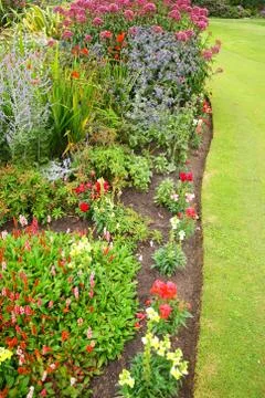Flower landscaping Stock Photos