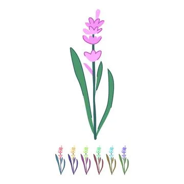 Flower lavender vector cartoon graphic Stock Illustration