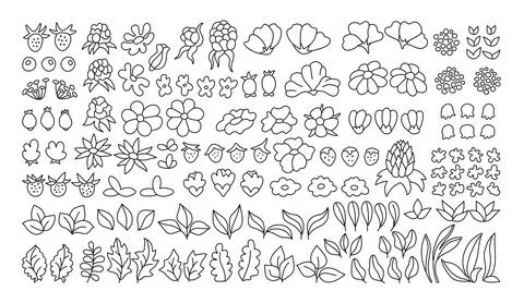Flower leaf berry simple cartoon rustic doodle set Hand drawn folk herbal vector Stock Illustration