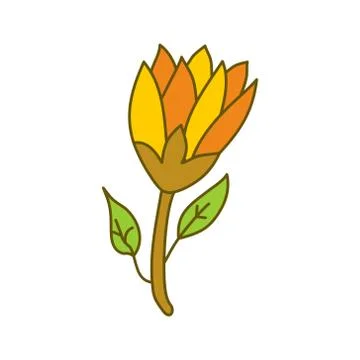 Flower Leaf Design Illustration Template Vector Stock-Illustration