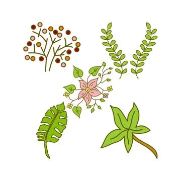 Flower Leaf Design Illustration Template Vector Illustration