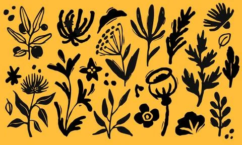 Flower, leaf hand drawn abstract isolated decorative elements. Line plant, ar 스톡 일러스트