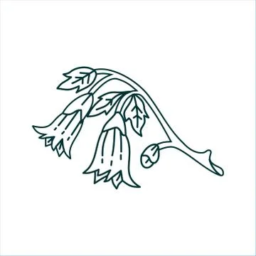 Flower Leaf Illustration Design Template Vector Ilustração Stock