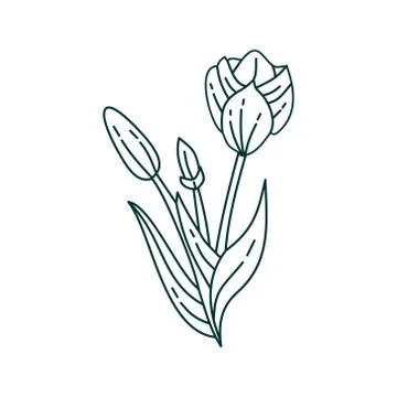 Flower Leaf Illustration Design Template Vector イラスト素材