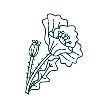 Flower Leaf Illustration Design Template Vector Stock-Illustration